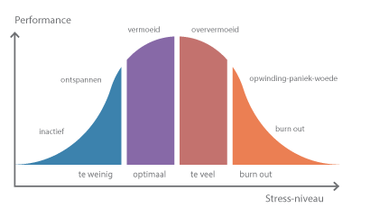 Cortisol